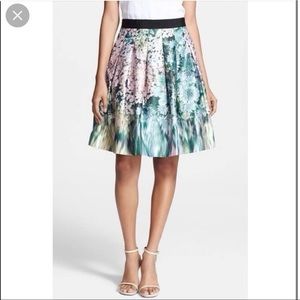 Ted Baker Full Skirt
